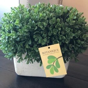 NEW! Botanique Topiary Collection (2)
